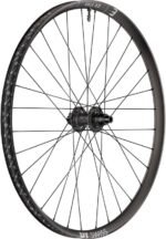 DT Swiss EX 1700 Classic 29" 30mm 6-Loch Boost Hinterrad